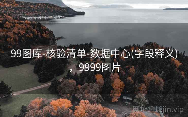 99图库-核验清单-数据中心(字段释义)，9999图片